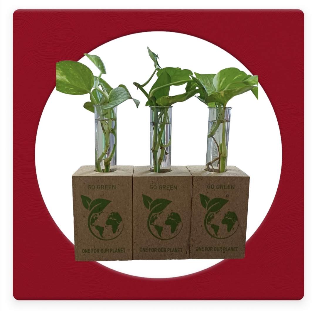 Cork Gift
